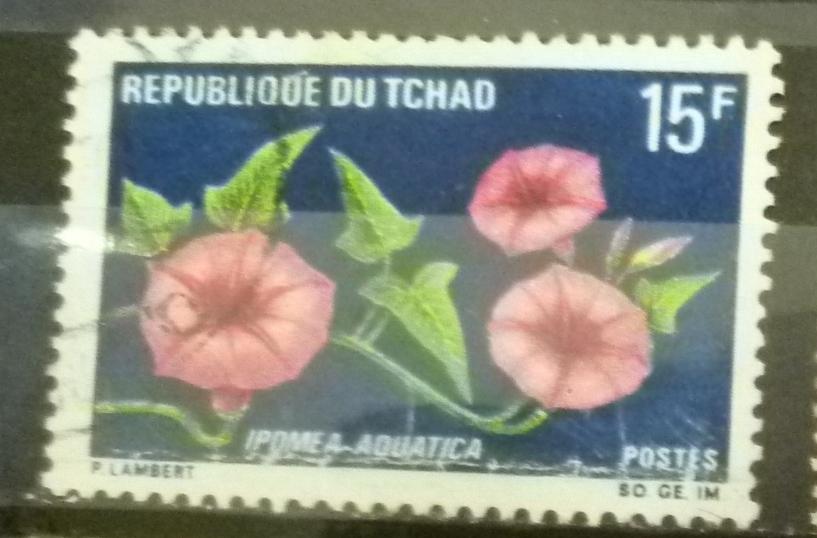 Чад 1969 Mi#  274  Цветы