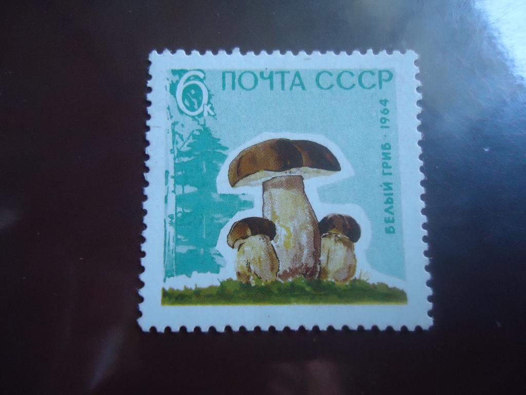 1964 г.  СССР   Грибы.  MNH.