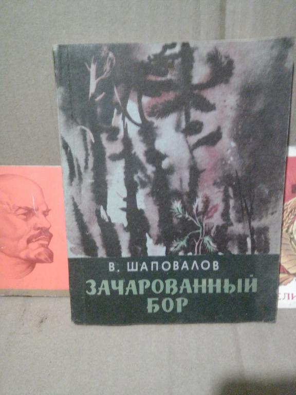 Книга.В.Шаповалов.Зачарованный бор.Воронеж.1979г.СССР