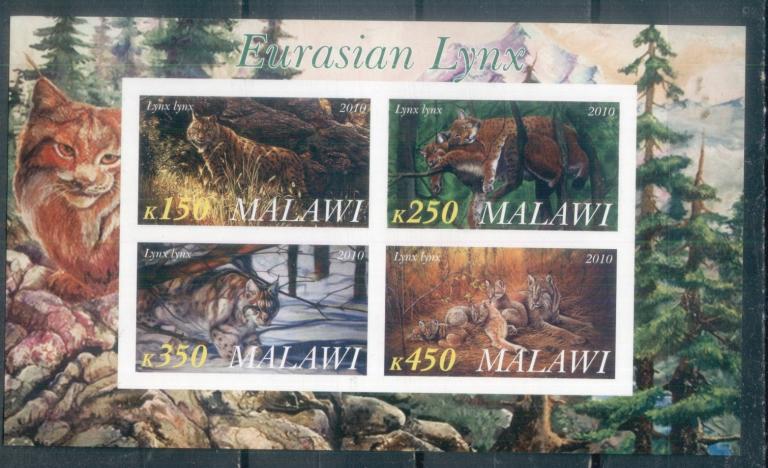 Малави 2010  Mi#  Рыси MNH