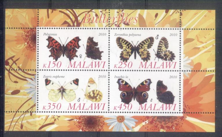 Малави 2010  Mi#   Бабочки MNH