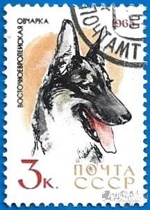 1965 СССР 3164 (Z 3075) Собаки. Восточно-европейская овчарка (1/10) Гаш.