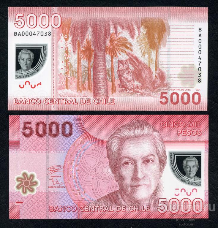 Чили 5000 песо 2021 г.; Серия - ВА; P#NEW; UNC (из пачки)