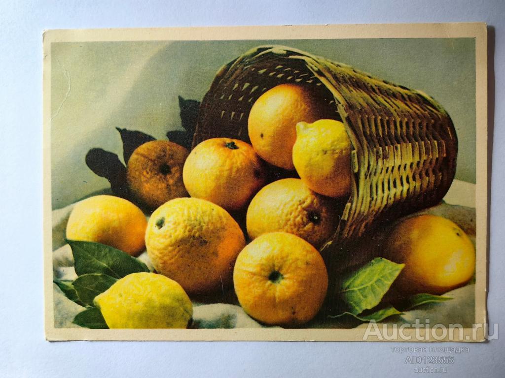 Открытка Апельсины и лимоны Л. Зиверта 1963 Чистая