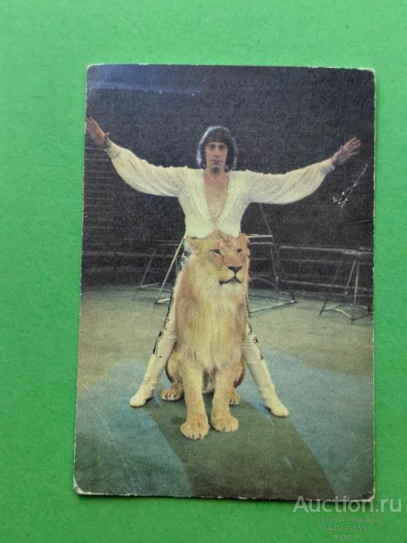 Календарик СССР цирк 1981 г.  Владимир Шевченко лев