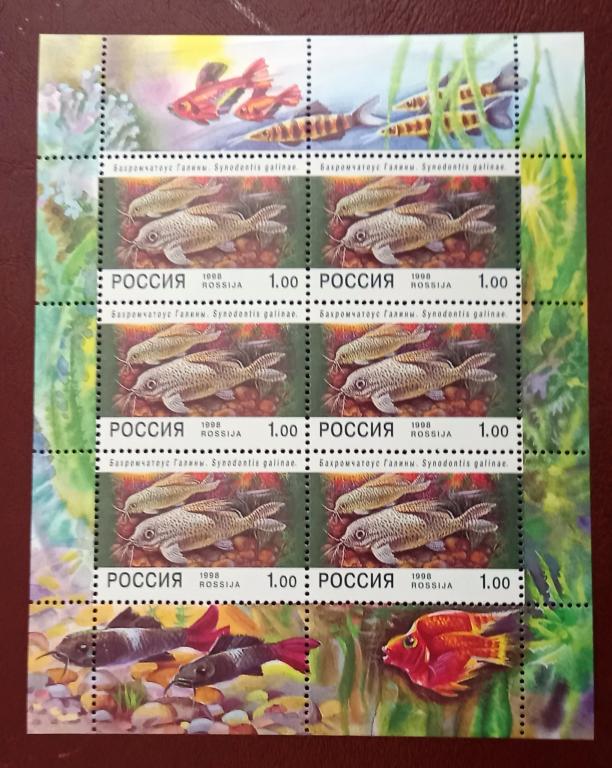 Россия 1998 год Фауна Аквариумные рыбки. Mалый Лист.  MNH
