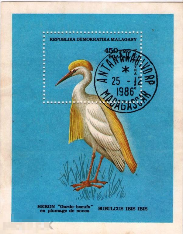 Мадагаскар 1986 Фауна Птицы Ибис блок CTO