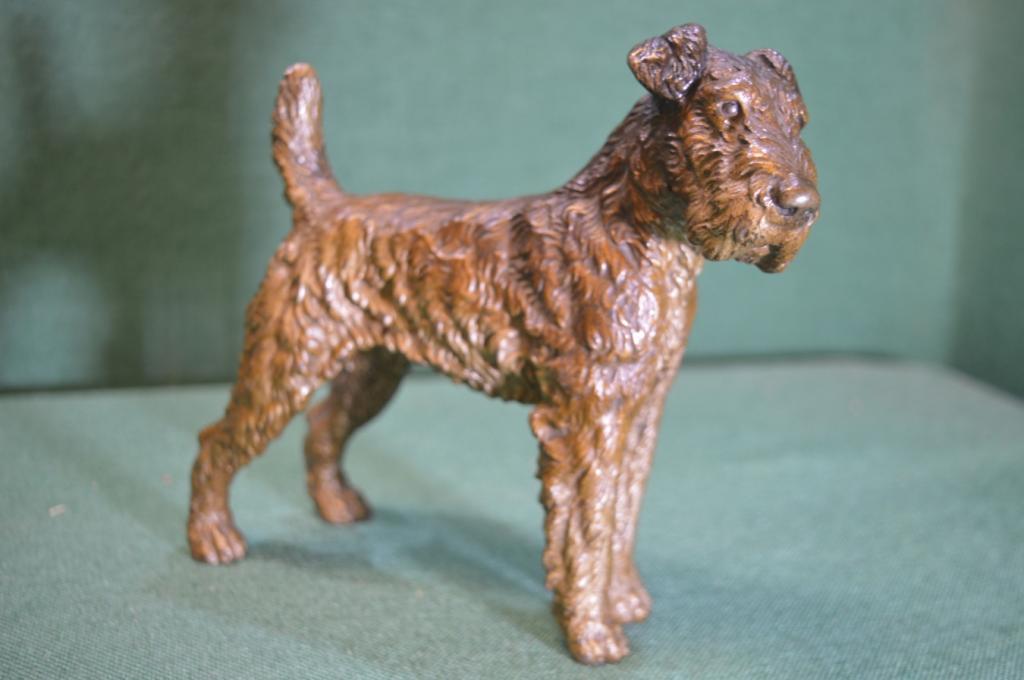 Статуэтка "Эрдельтерьер Терьер собака". Охота. Венская бронза. Европа. Первая половина 20 века.