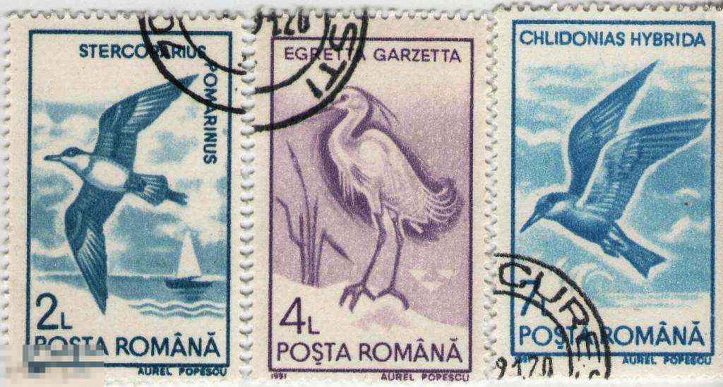 Румыния 1991 год. Фауна Птицы 3 марки из серии