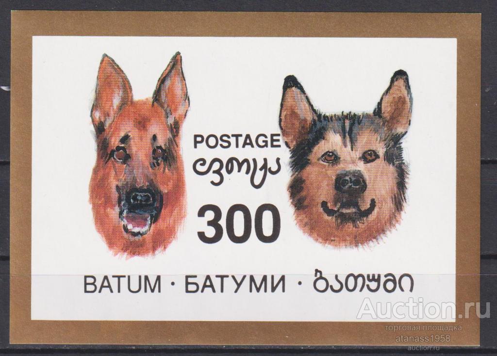 Грузия Батуми Чистый блок Фауна Собаки 1994