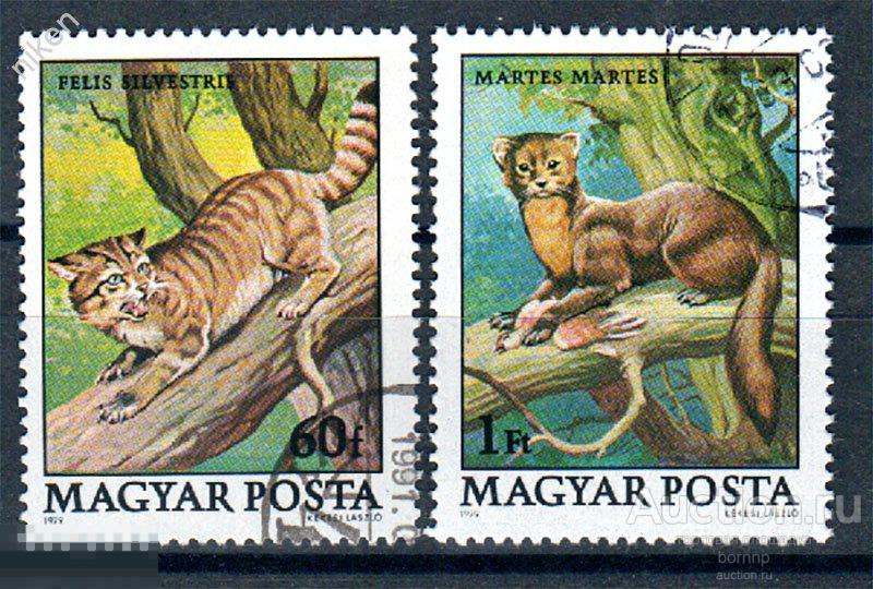ВЕНГРИЯ 1979 ФАУНА ХИЩНИКИ ДИКИЙ ЛЕСНОЙ КОТ КУНИЦА  44-157