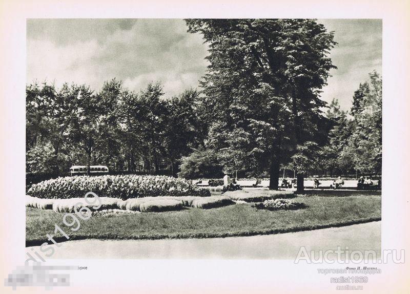ФОТОТИПИЯ 1955 г. МОСКВА. В ЕКАТЕРИНИНСКОМ ПАРКЕ. ПЕЙЗАЖ, ЛАНДШАФТНЫЙ ДИЗАЙН