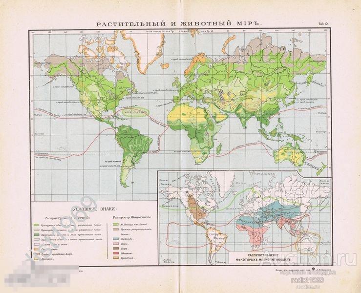 ГЕОГРАФИЧЕСКАЯ КАРТА 1900 г. РАСТИТЕЛЬНЫЙ И ЖИВОТНЫЙ МИР. КАРТА МИРА, ФЛОРА, ФАУНА