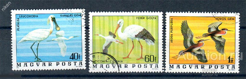 ВЕНГРИЯ 1976 ФАУНА ВОДОПЛАВАЮЩИЕ ПТИЦЫ ОРНИТОЛОГИЯ  70-1-272