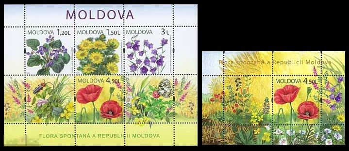 Молдавия (Молдова) 2009 год. Флора, луговые цветы (фауна, насекомые, бабочки) блок+мл**