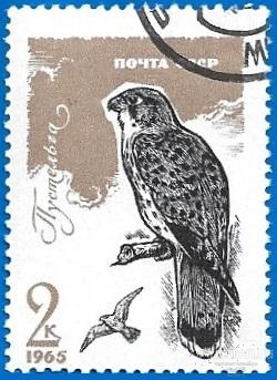 1965 СССР 3284 (Z 3197) Хищные птицы. Пустельга (1/8) CTO