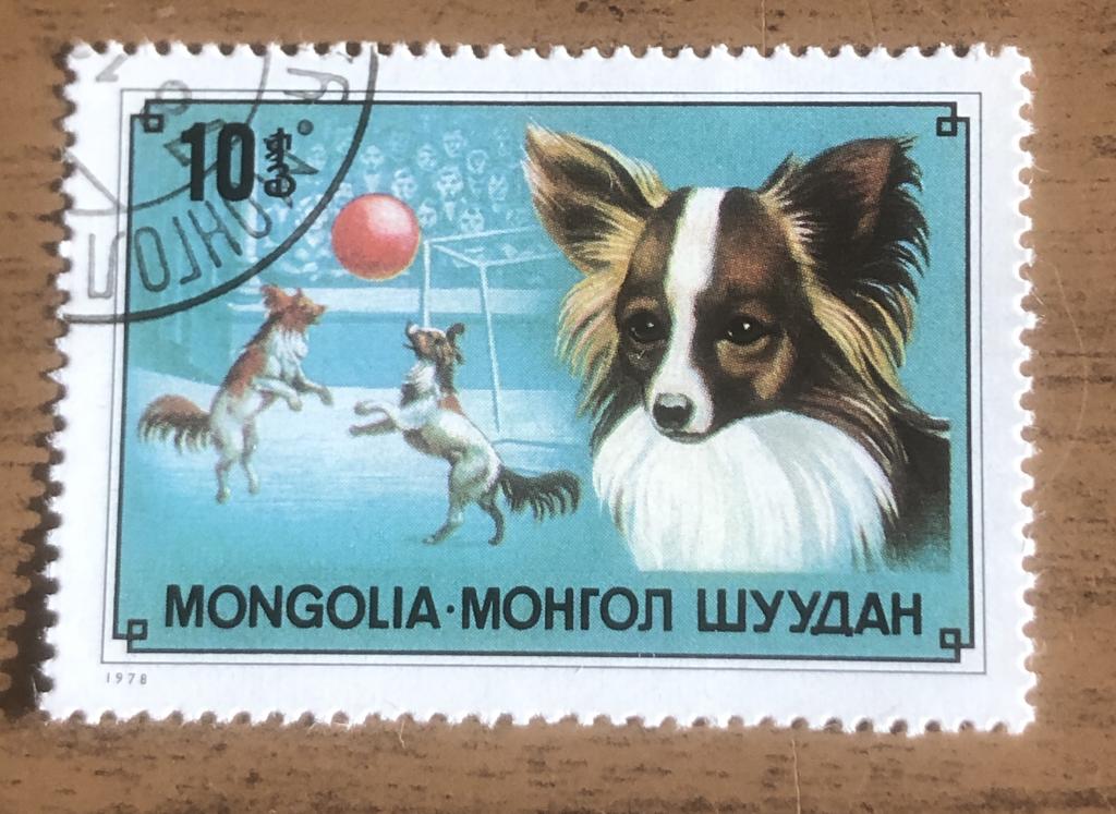Монголия 1978 Папильон (Canis lupus familiaris )