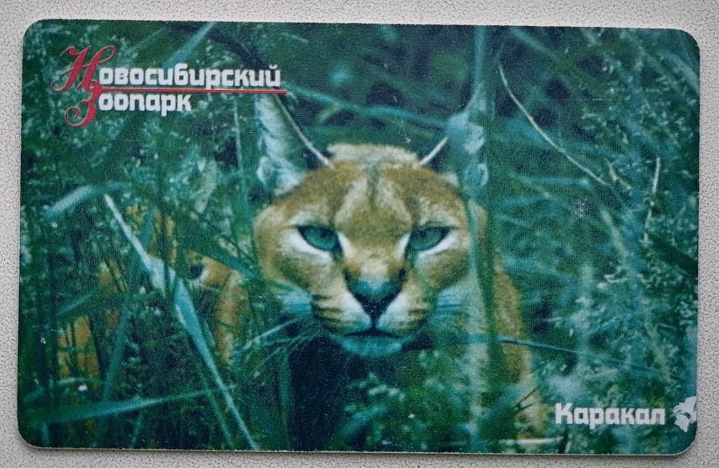 Телефонная карта Новосибирск Новосибирский зоопарк Каракал 300 бит