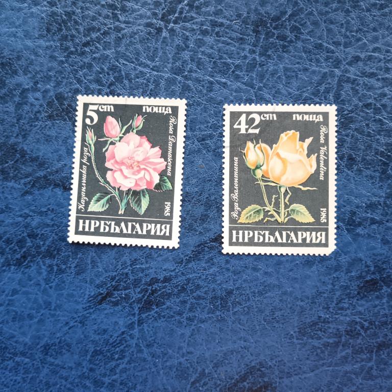 Марки. Болгария. Флора. Цветы. Гашение. 1985 альбом 4 лист 3