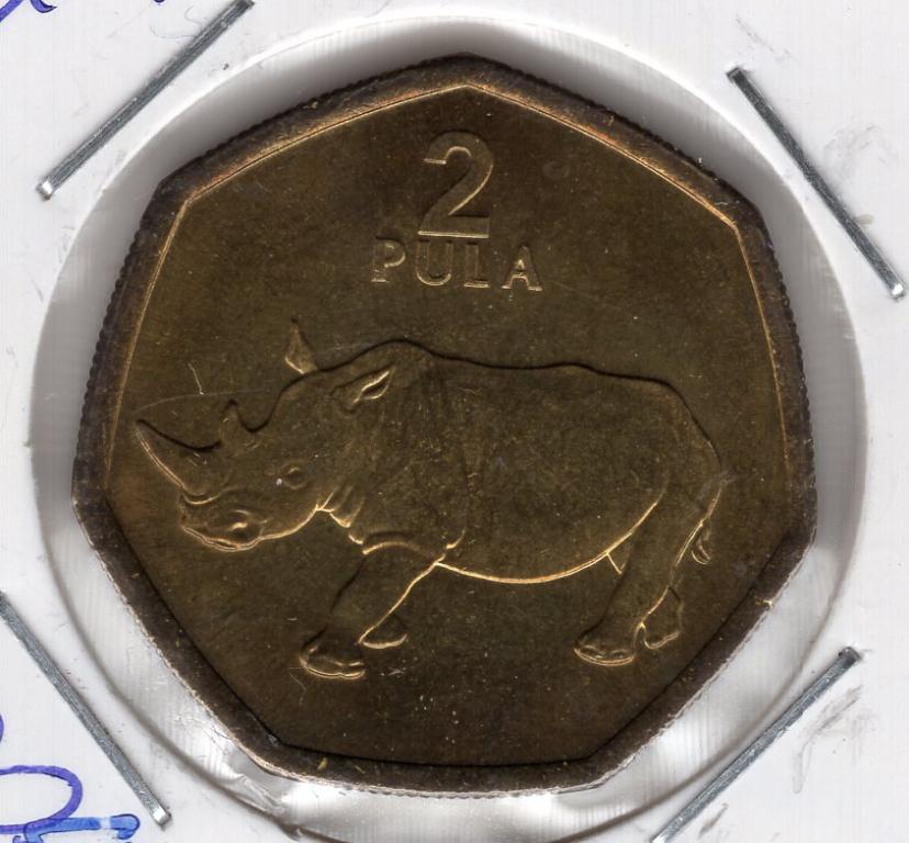2 пула - Ботсвана - 2004 - Носорог