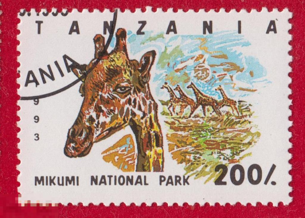 Марка Танзания 1993 год. Жираф. Фауна мира. Африканские животные. Млекопитающие. жирафы.