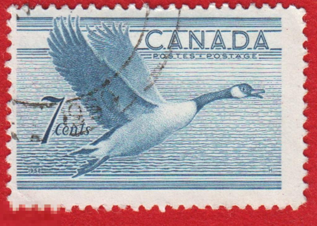 Марка Канада 1952 год. Утки. Гуси. Лебеди. Перелетные птицы. Фауна Канады.