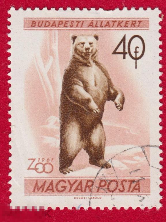 Марка Венгрия 1961 год. Бурый медведь Русский медведь. Медведи. Животные России Редкость!