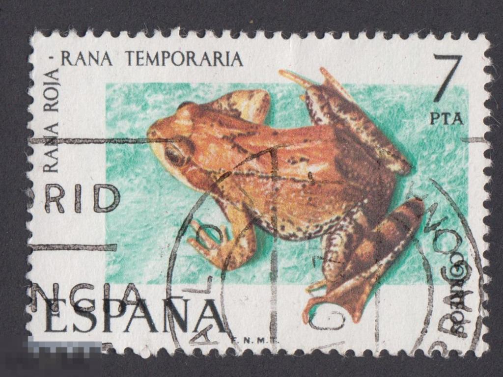 Марка Испания 1975 год. Травяная лягушка вид настоящих лягушек Редкая марка!