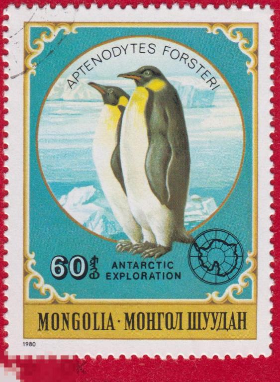 Марка Монголия 1980 год. Королевский пингвин Антарктический пингвин семейства пингвиновых Птицы мира