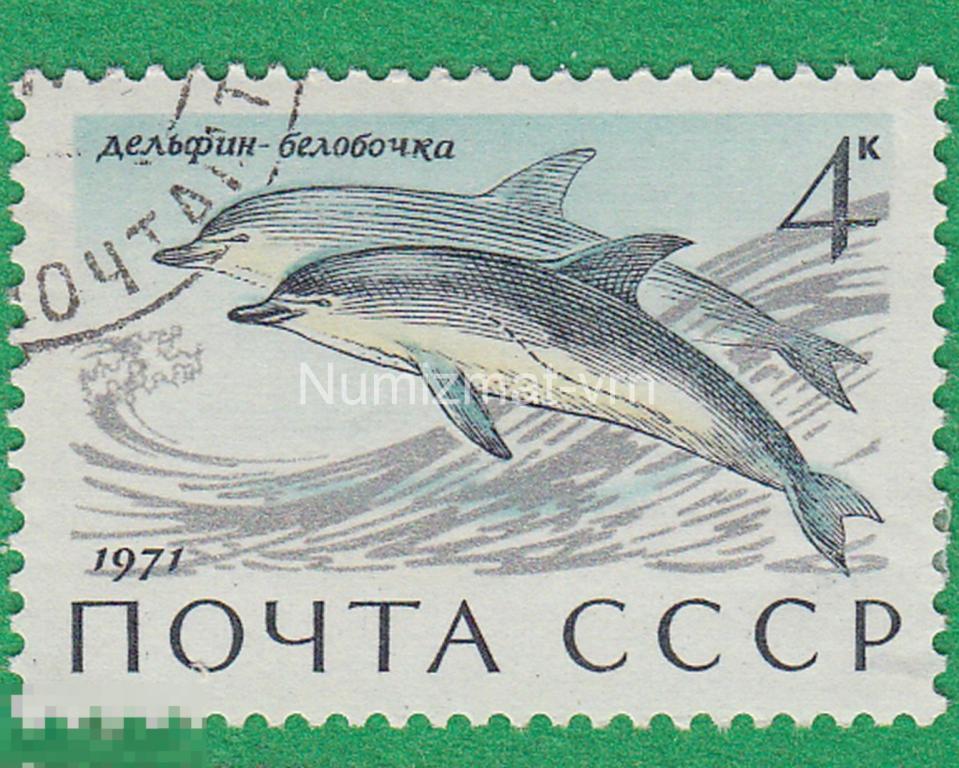Марка СССР. 1971 г. Дельфин-белобочка. Фауна моря. Морские обитатели.