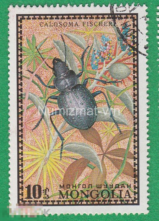 Марка Монголия 1972 г. Фауна Мира. Жуки. Насекомые. Виды жуков. Жук. Фауна мира