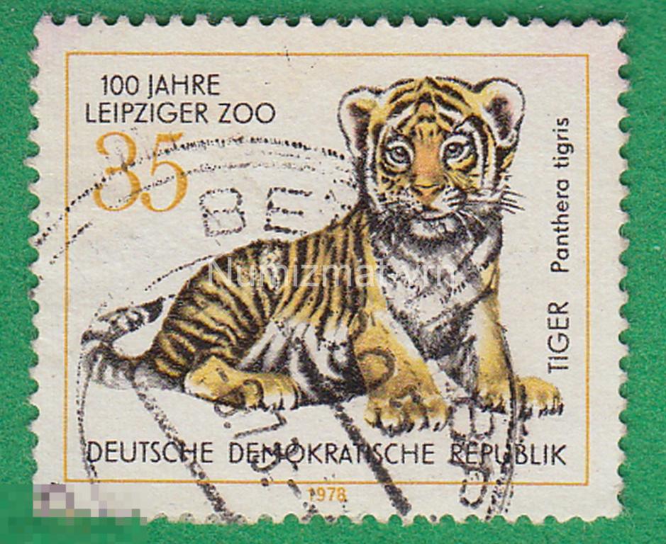 Марка ГДР. 1978 г.  Тигр. Тигровая Пантера. Хищники. Фауна . Животные. Красная книга.