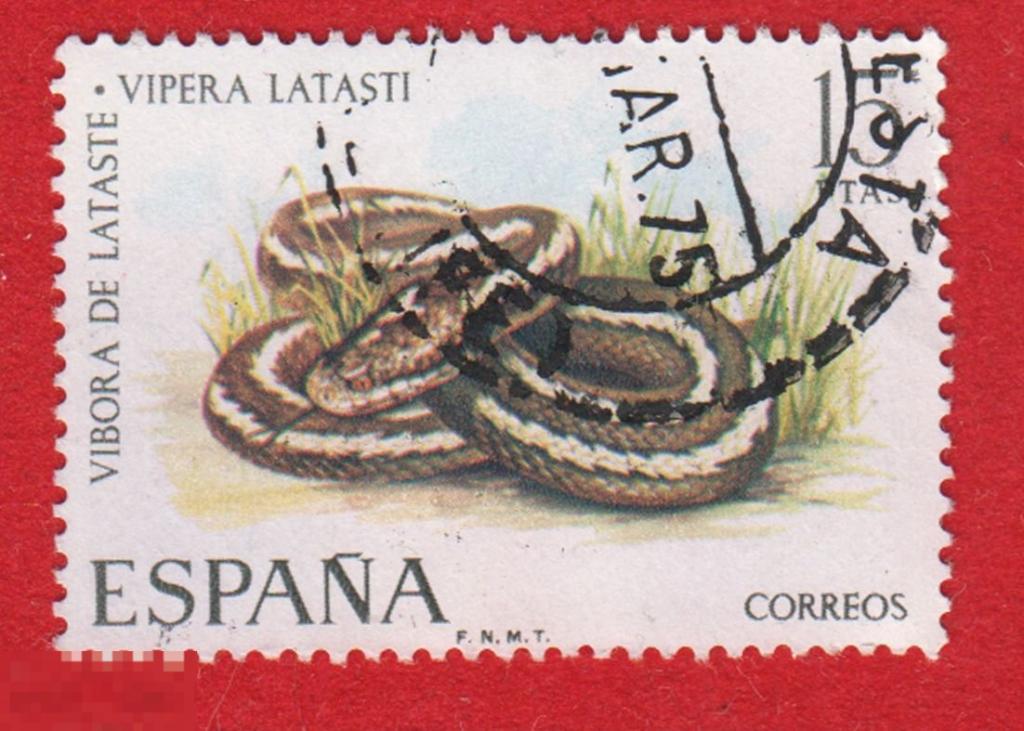 Марка Испания 1975 год. Курносая гадюка — вид ядовитых змей рода настоящих гадюк