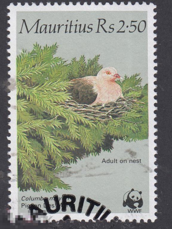 Марка Маврикий 1985 год. Розовый голубь (Nesoenas mayeri) вид голубей семейства Columbidae птицы