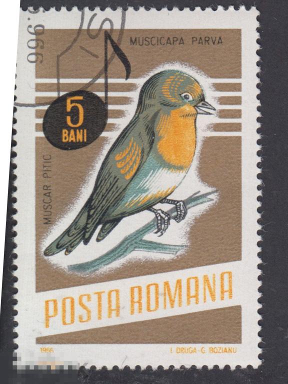 Марка Румыния 1966 год. Красногрудая мухоловка Мухоловковые. Редкие птицы. Редкая марка!