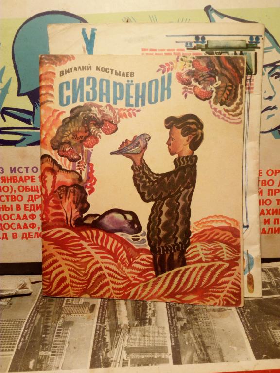 Книга.В.Костылев.Сизаренок.Минск.1975г.СССР.