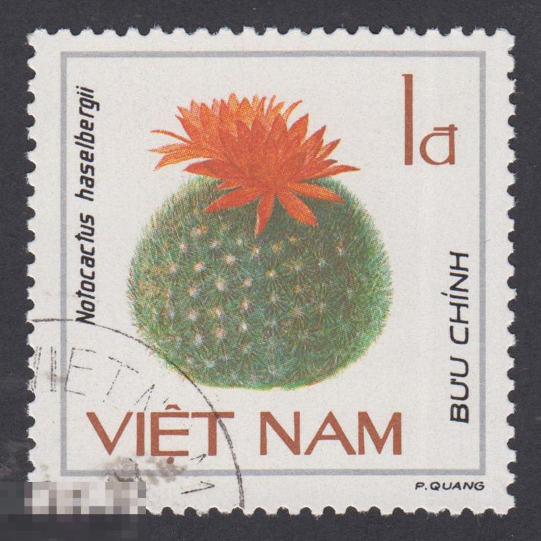 Марка Вьетнам 1985 год. Пародия Хазельберга, Бразиликактус Хазельберга кактус из рода Пародия