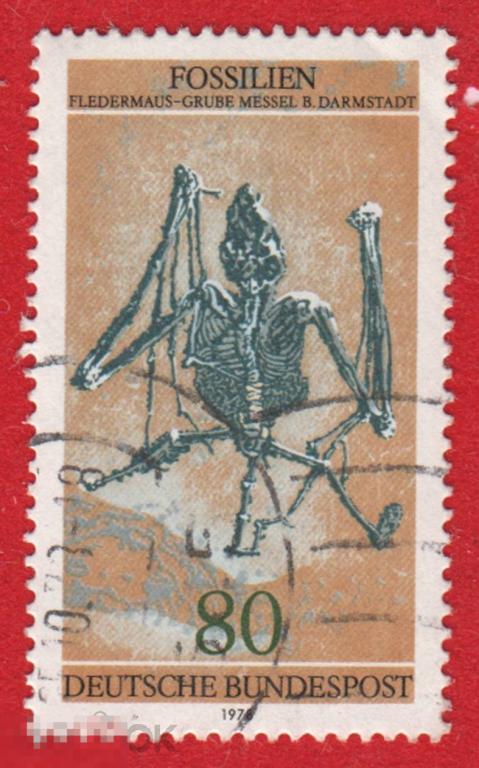 Марка ФРГ 1978 год. Ископаемые остатки. Окаменелости. Скелет динозавра. Археология. Динозавры.