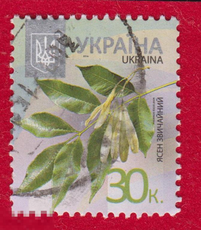 Марка Украина 2014 год. Ясень Дерево Род древесных растений из семейства Маслиновые Деревья