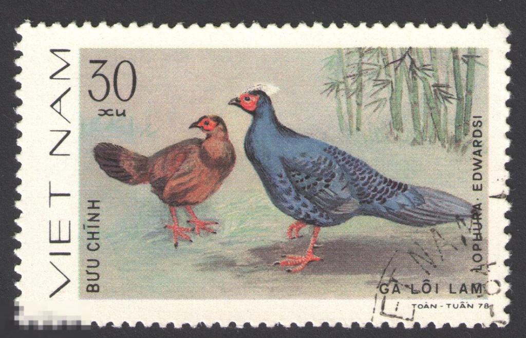 Марка Вьетнам 1979 год. Фазан Эдвардса Lophura edwardsi птица семейства фазановых Редкость!