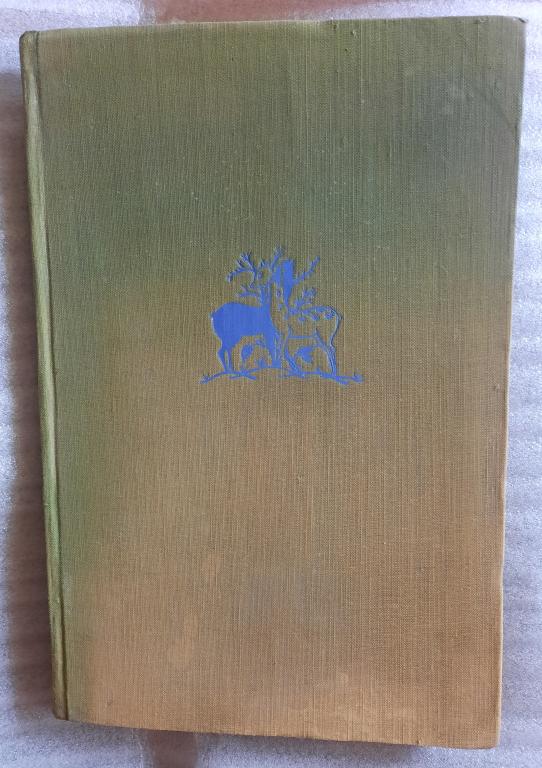 Книга Низами-Лейли и Меджнун!