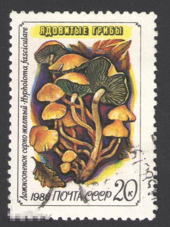 Марка СССР 1986 год. Ложноопёнок серно-жёлтый ядовитый гриб из рода Hypholoma Грибы