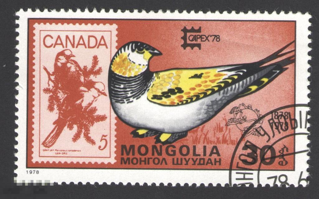 Марка Монголия 1978 год. Тибетский рябчик Тибетская саджа Syrrhaptes tibetanus Редкость!
