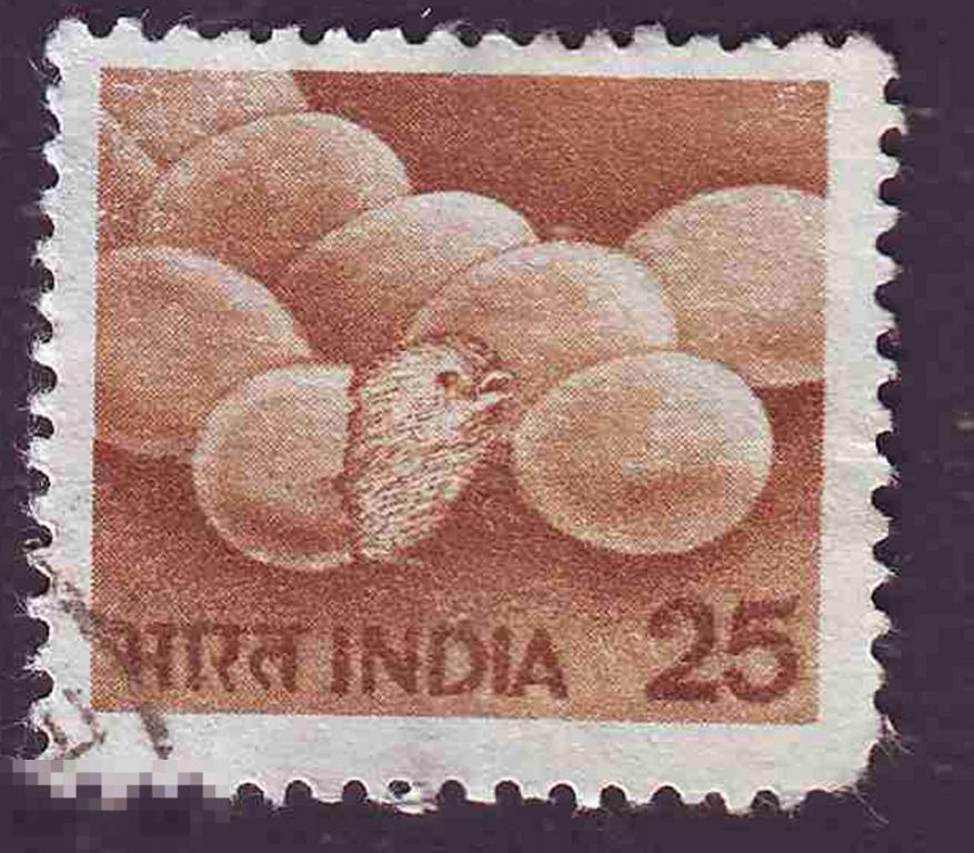 Марка Индия 1962 год. Птенцы. Инкубация яиц Птицы домашние Сельское хозяйство Яйца Редкость!