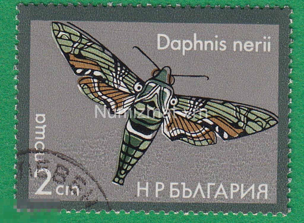 Марка Болгария. 1983 г. Бабочка. Бабочки мира. Фауна мира. Редкие бабочки. Энтомология. 4