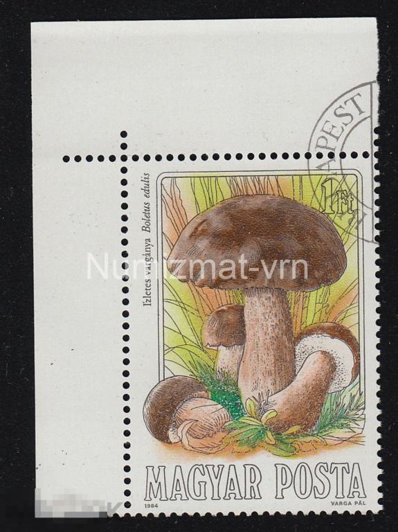 Марка Венгрия. 1984 г. Грибы. Грибы . Редкие марки Грибы мира. 2