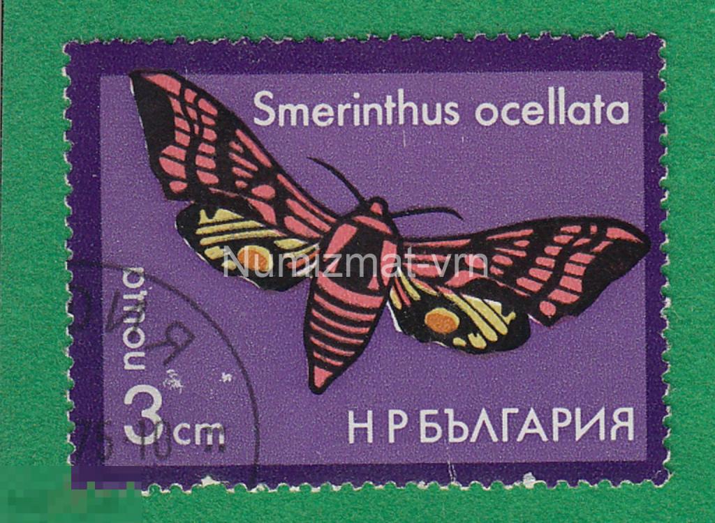 Марка Болгария. 1983 г. Бабочка. Бабочки мира. Фауна мира. Редкие бабочки. Энтомология. 5