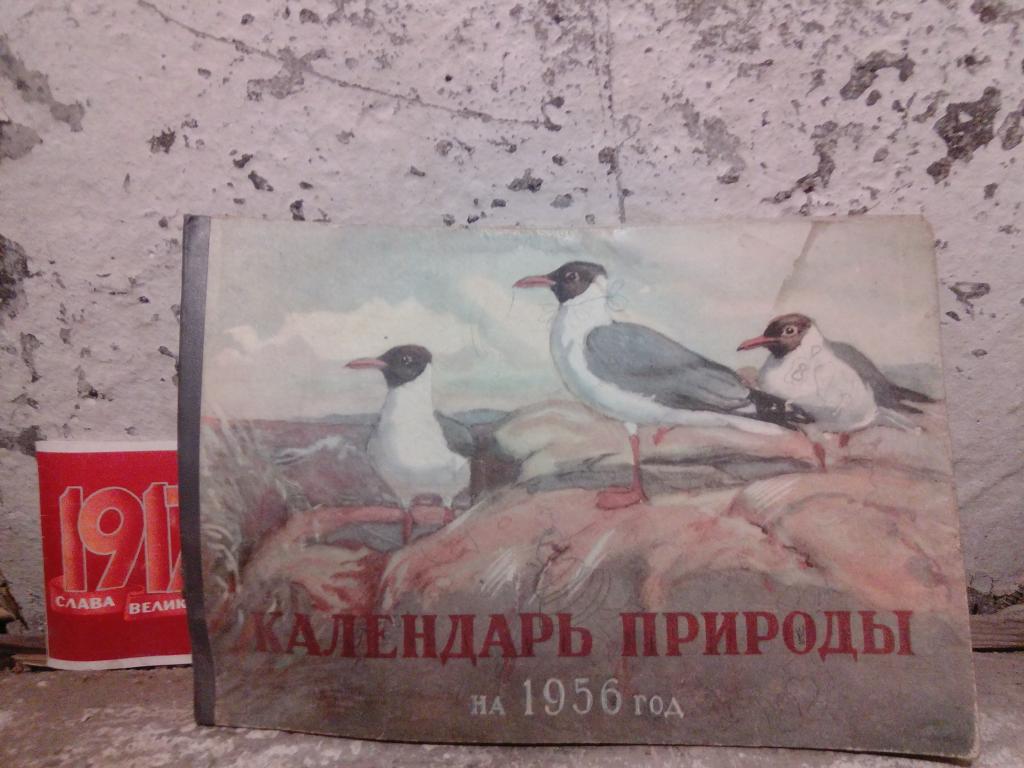 Календарь природы для детей школьного возраста.Г.Скребицкий..Москва..1955.СССР