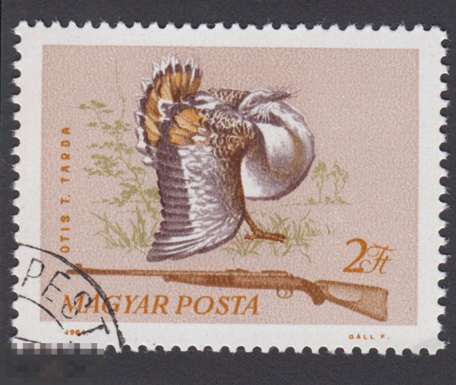 Марка Венгрия 1964 год. Дрофа крупная птица семейства дрофиных. Дрофа, или дудак. Птицы