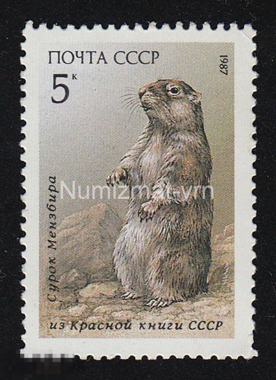 Марка СССР 1987 г. Сурок Красная книга. Редкие животные. Млекопитающие. Исчезающие животные 1